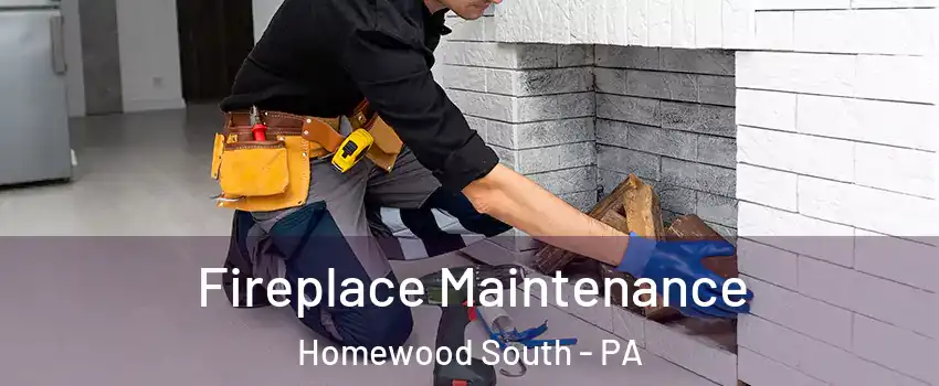 Fireplace Maintenance Homewood South - PA