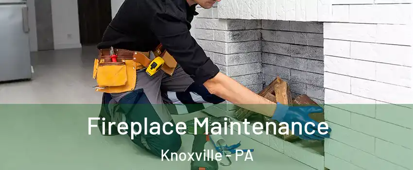 Fireplace Maintenance Knoxville - PA