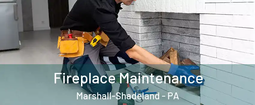 Fireplace Maintenance Marshall-Shadeland - PA