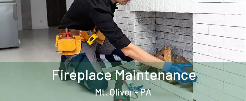 Fireplace Maintenance Mt. Oliver - PA