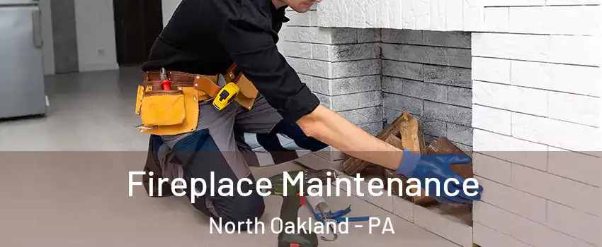 Fireplace Maintenance North Oakland - PA