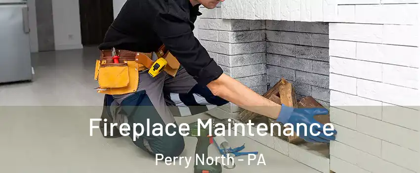 Fireplace Maintenance Perry North - PA