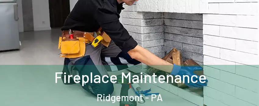 Fireplace Maintenance Ridgemont - PA