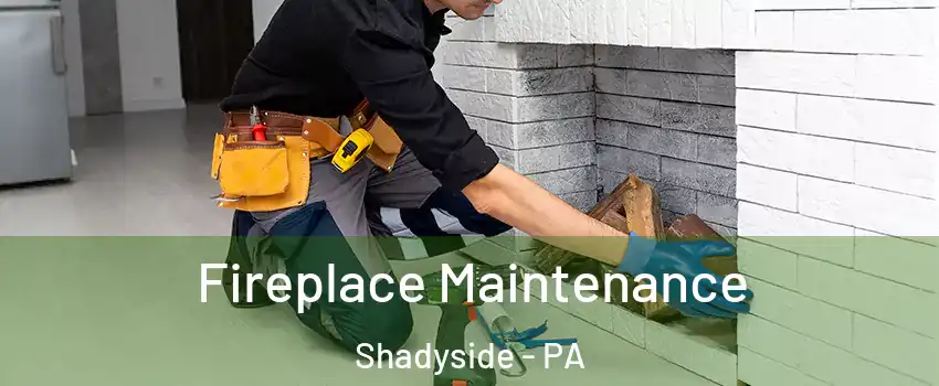 Fireplace Maintenance Shadyside - PA