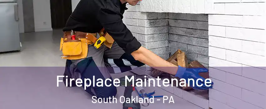 Fireplace Maintenance South Oakland - PA