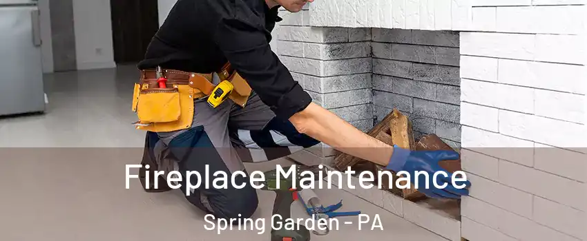 Fireplace Maintenance Spring Garden - PA