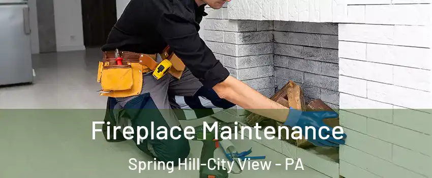 Fireplace Maintenance Spring Hill-City View - PA