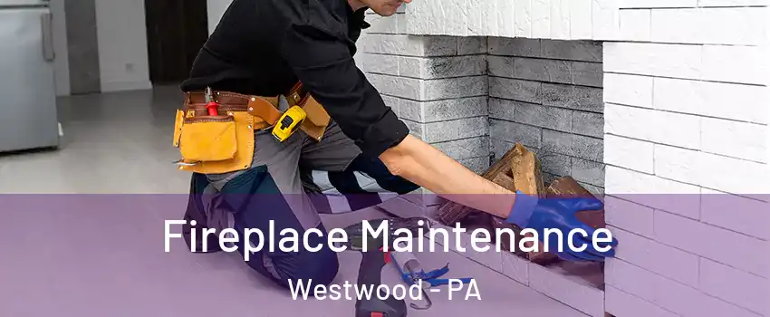 Fireplace Maintenance Westwood - PA