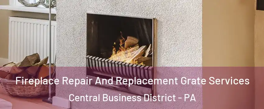 Fireplace Repair And Replacement Grate Services Central Business District - PA