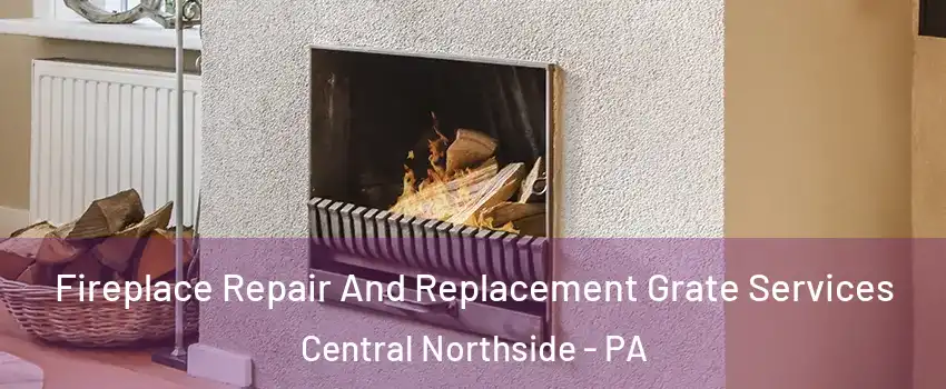 Fireplace Repair And Replacement Grate Services Central Northside - PA