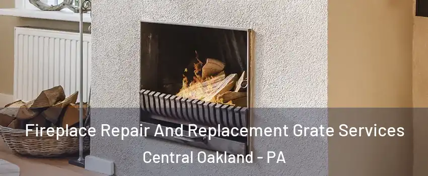 Fireplace Repair And Replacement Grate Services Central Oakland - PA