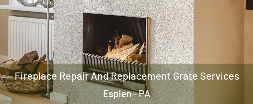 Fireplace Repair And Replacement Grate Services Esplen - PA