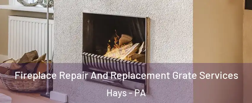 Fireplace Repair And Replacement Grate Services Hays - PA