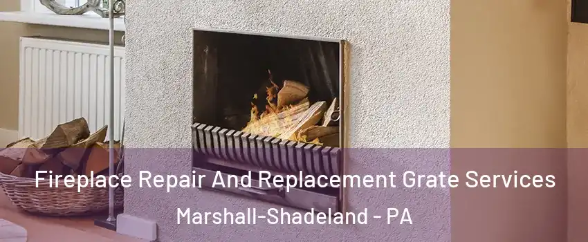 Fireplace Repair And Replacement Grate Services Marshall-Shadeland - PA