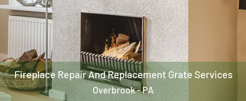 Fireplace Repair And Replacement Grate Services Overbrook - PA