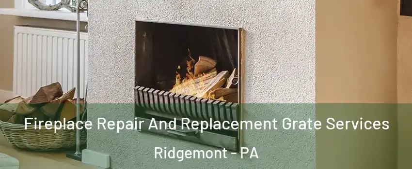 Fireplace Repair And Replacement Grate Services Ridgemont - PA
