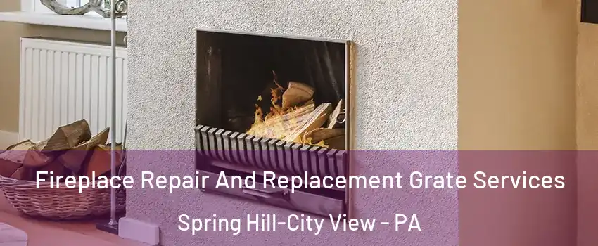 Fireplace Repair And Replacement Grate Services Spring Hill-City View - PA