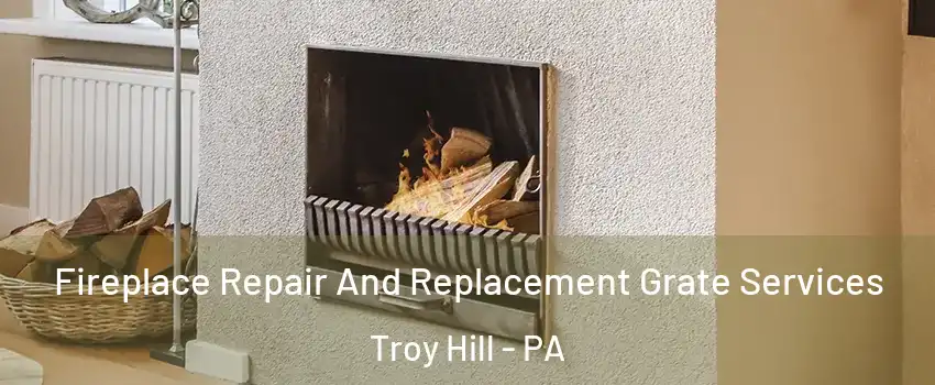 Fireplace Repair And Replacement Grate Services Troy Hill - PA