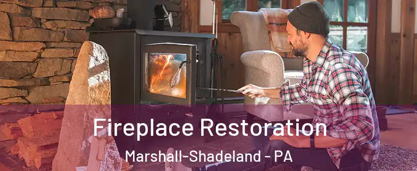 Fireplace Restoration Marshall-Shadeland - PA