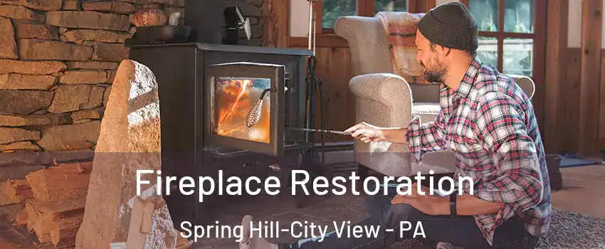 Fireplace Restoration Spring Hill-City View - PA