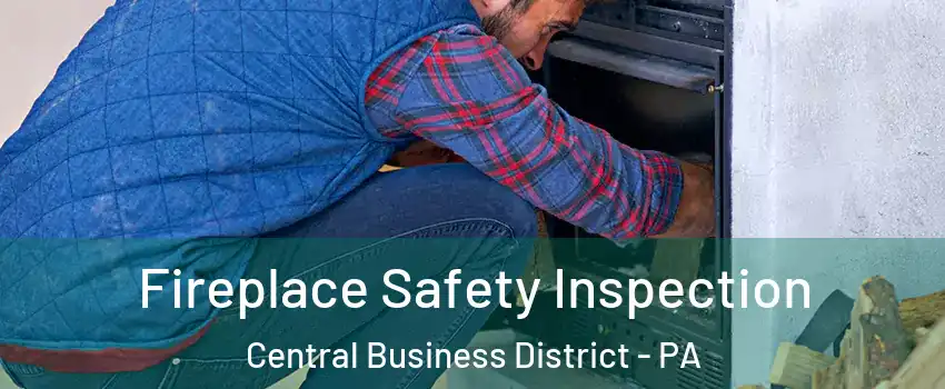 Fireplace Safety Inspection Central Business District - PA
