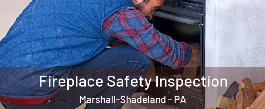 Fireplace Safety Inspection Marshall-Shadeland - PA