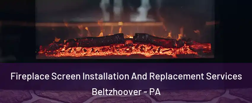 Fireplace Screen Installation And Replacement Services Beltzhoover - PA