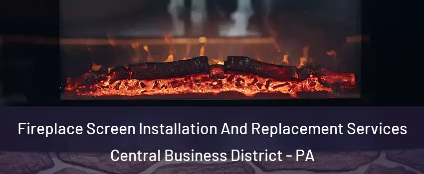 Fireplace Screen Installation And Replacement Services Central Business District - PA