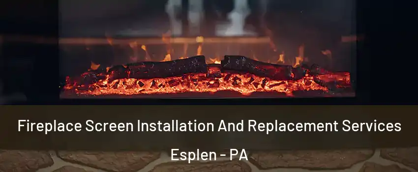 Fireplace Screen Installation And Replacement Services Esplen - PA