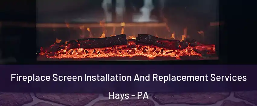 Fireplace Screen Installation And Replacement Services Hays - PA