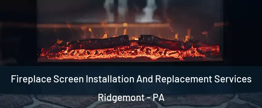 Fireplace Screen Installation And Replacement Services Ridgemont - PA