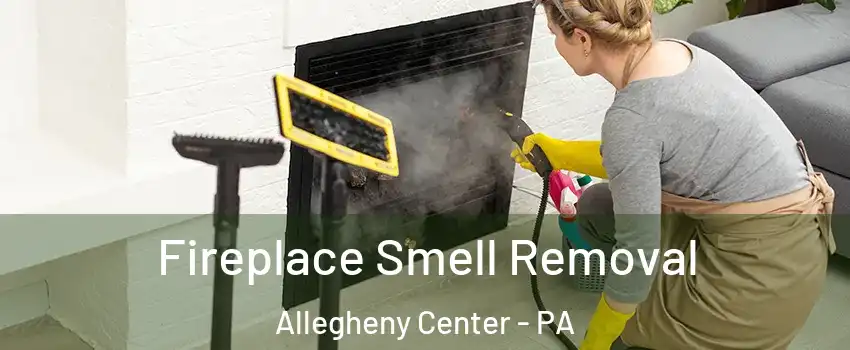 Fireplace Smell Removal Allegheny Center - PA