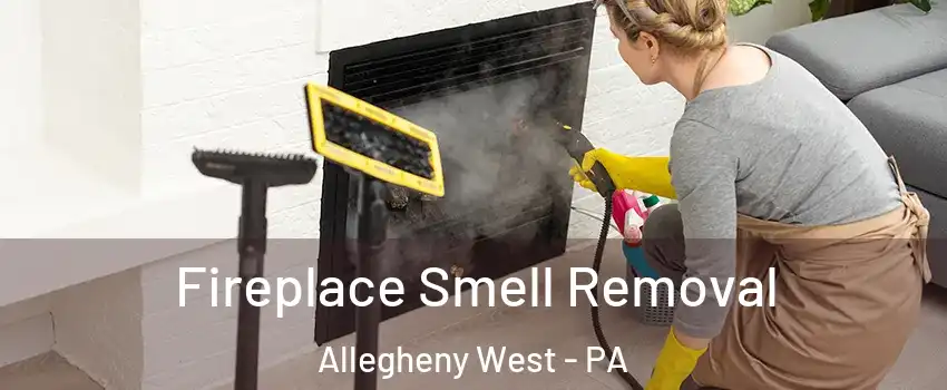 Fireplace Smell Removal Allegheny West - PA