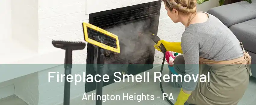 Fireplace Smell Removal Arlington Heights - PA