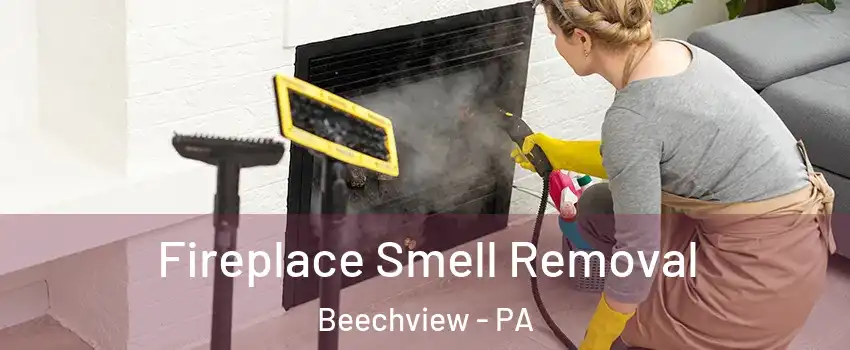 Fireplace Smell Removal Beechview - PA