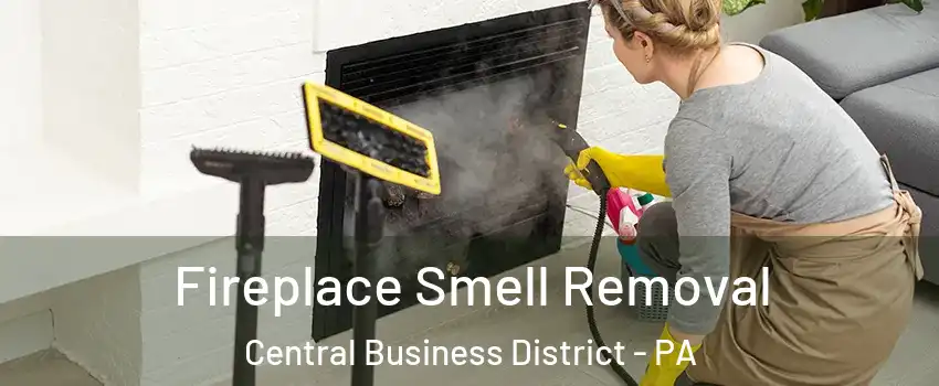 Fireplace Smell Removal Central Business District - PA