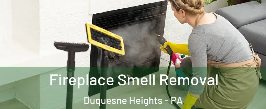 Fireplace Smell Removal Duquesne Heights - PA