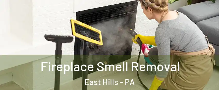 Fireplace Smell Removal East Hills - PA