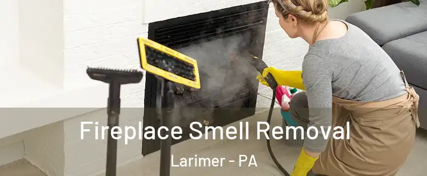 Fireplace Smell Removal Larimer - PA
