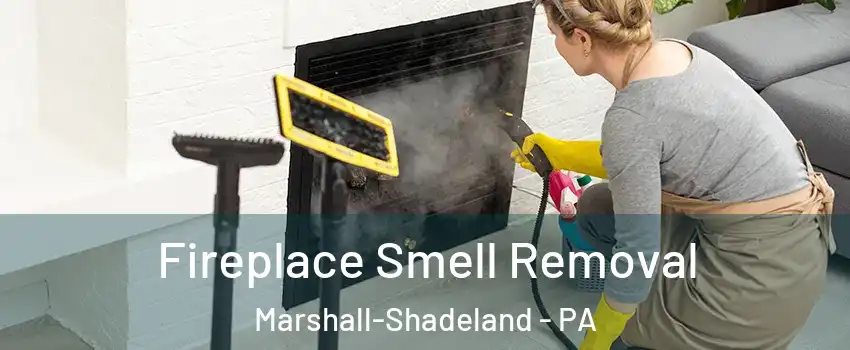 Fireplace Smell Removal Marshall-Shadeland - PA