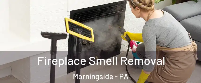 Fireplace Smell Removal Morningside - PA