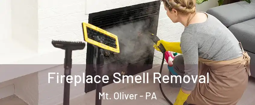 Fireplace Smell Removal Mt. Oliver - PA