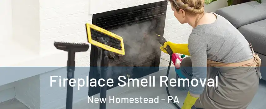 Fireplace Smell Removal New Homestead - PA