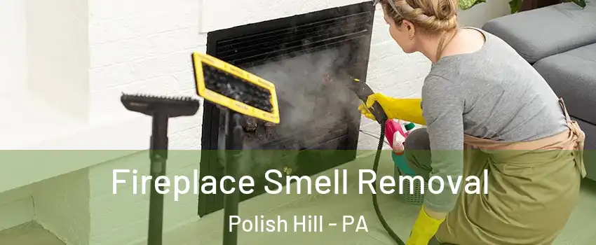 Fireplace Smell Removal Polish Hill - PA