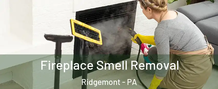 Fireplace Smell Removal Ridgemont - PA