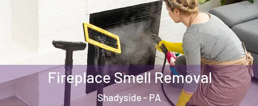 Fireplace Smell Removal Shadyside - PA