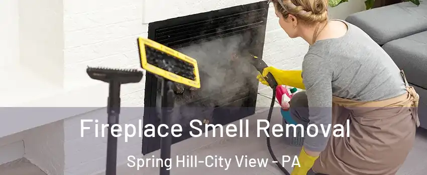 Fireplace Smell Removal Spring Hill-City View - PA