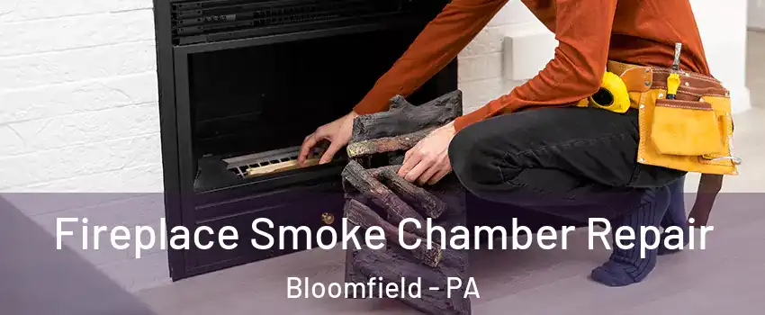 Fireplace Smoke Chamber Repair Bloomfield - PA