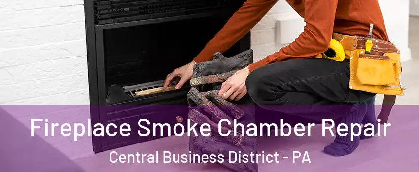 Fireplace Smoke Chamber Repair Central Business District - PA