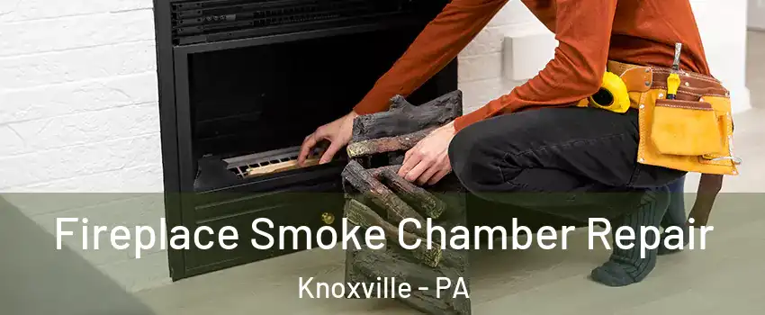 Fireplace Smoke Chamber Repair Knoxville - PA